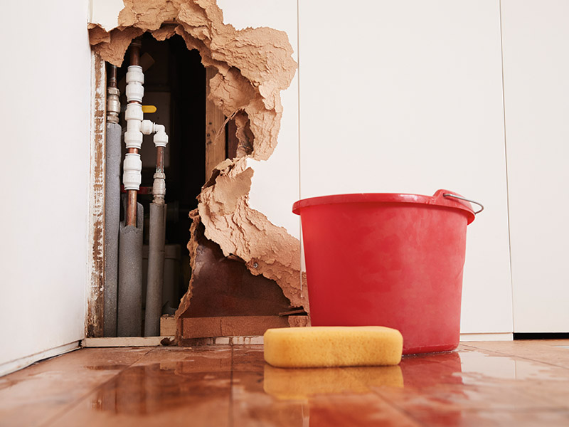 Sponge and bucket sitting in pile of water in a home with draywall torn down exposing leaking pipes.