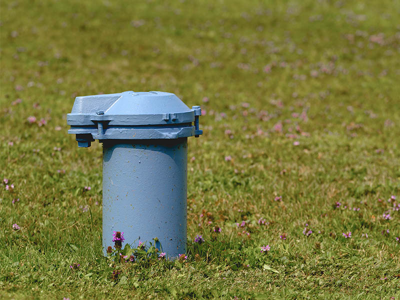 Light blue well pipe visible in yard.